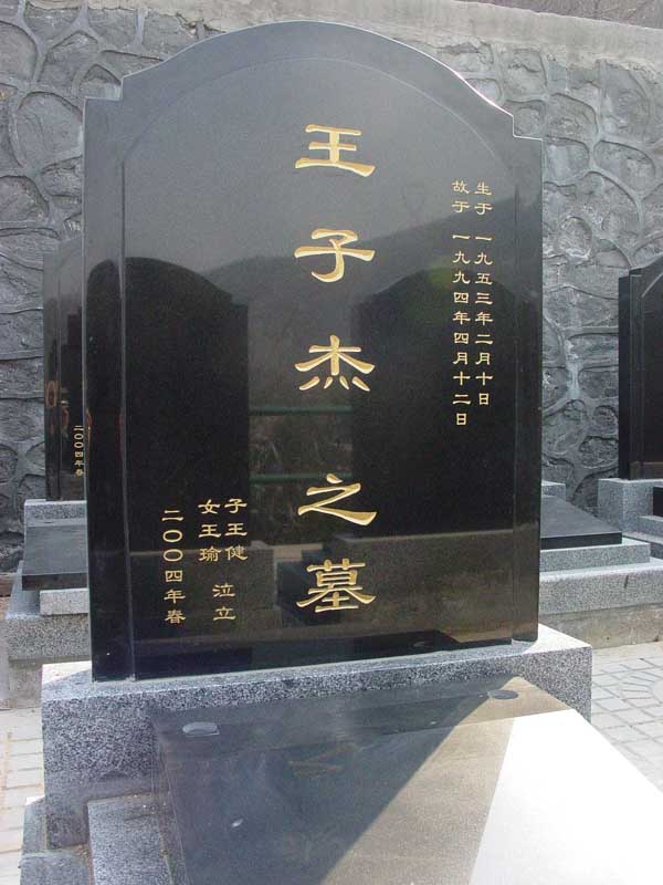 王子杰