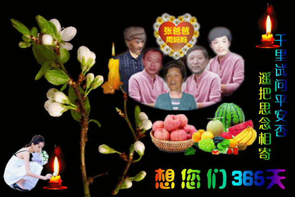 未命名_副本8888.gif