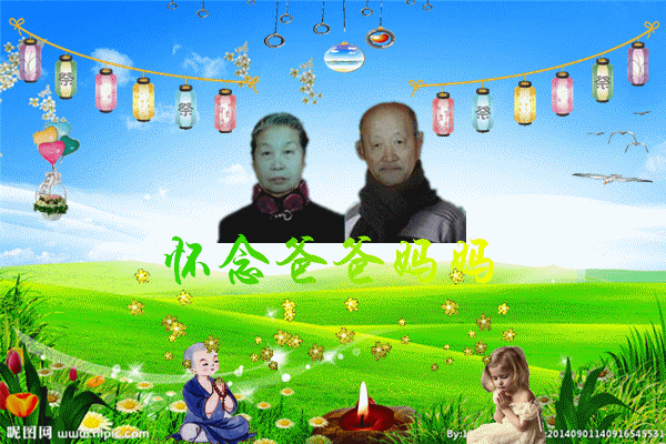 ug0d6bba.gif