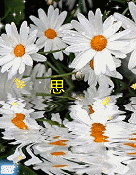 未命名_副本000.gif