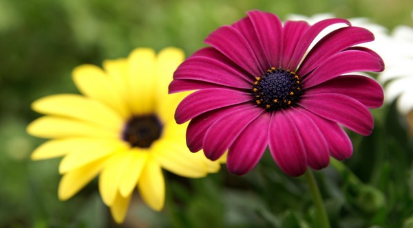 Beautiful-Pictures0009.jpg