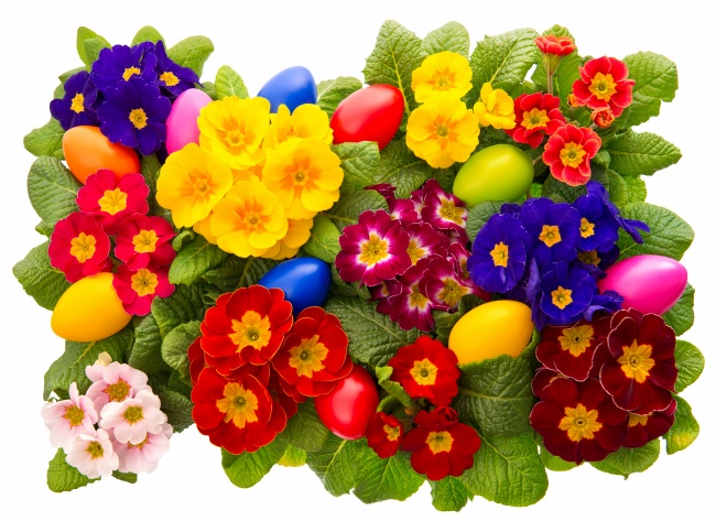 祭奠花18.jpg