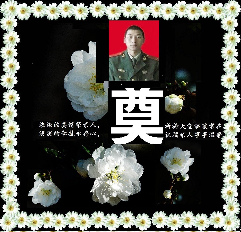 杨钢.jpg