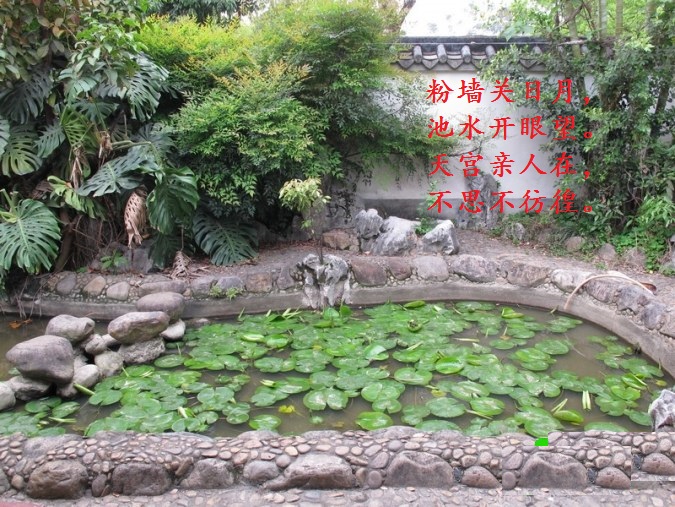 小池.jpg