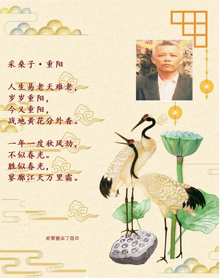 重阳2.jpg 重阳2.jpg