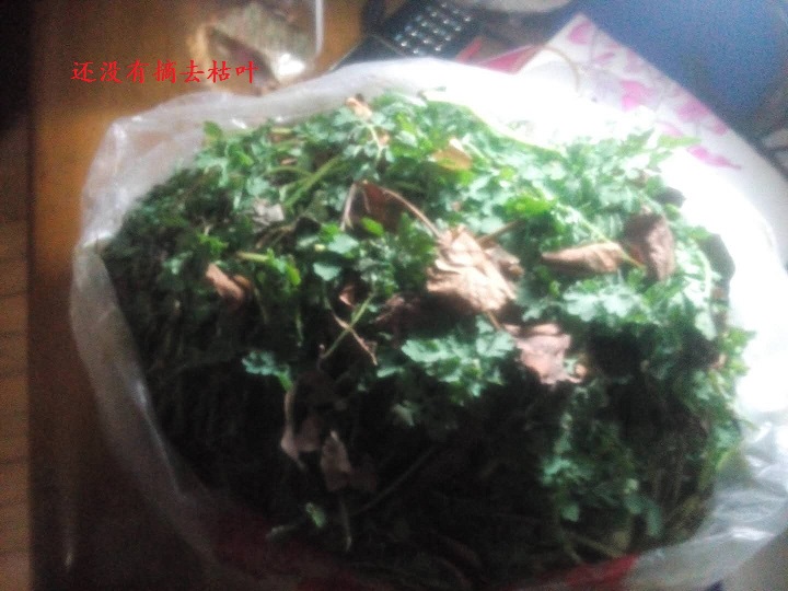 黄连素.jpg