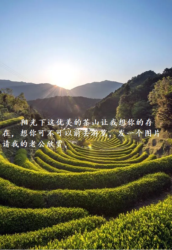 霞光.png